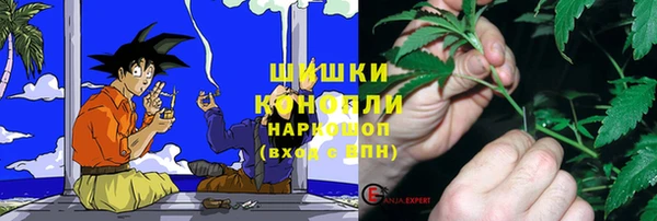 дмт Богородицк